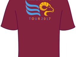 t-shirt_rucken_gesamtansicht_jpeg